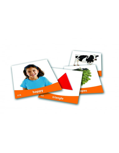 Set imagini vocabularul de baza,LER6079
