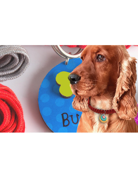 Set creativ - Accesorii pentru catelus,CCPPL058