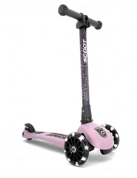 Trotineta copii pliabila cu roti luminoase Scoot & Ride