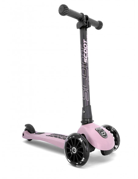 Trotineta copii pliabila cu roti luminoase Scoot & Ride