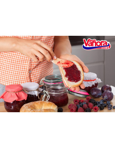 BORCAN DEPOZITARE STICLA CU CAPAC 500 ML, VANORA