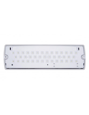 Lampa Exit ORION LED 100 SA 3H MT, IP65, mod mentinut, timp