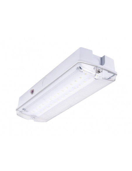 Lampa Exit ORION LED 100 SA 3H MT, IP65, mod mentinut, timp