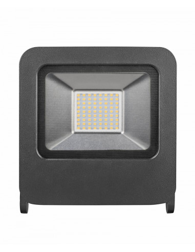 Proiector Radium, LED FLOODLIGHT, 50W, temperatura culoare