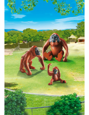 Familie De Urangutani,6648