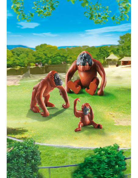 Familie De Urangutani,6648