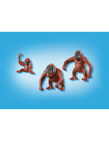 Familie De Urangutani,6648