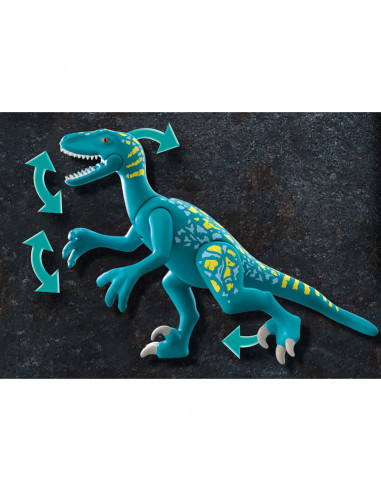 DEINONYCHUS - GATA DE LUPTA,70629