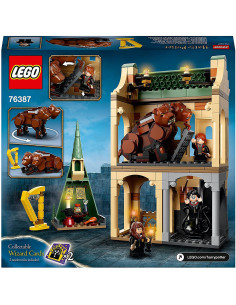 Lego Harry Potter Hogwarts: Intalnirea Cu Fluffy 76387