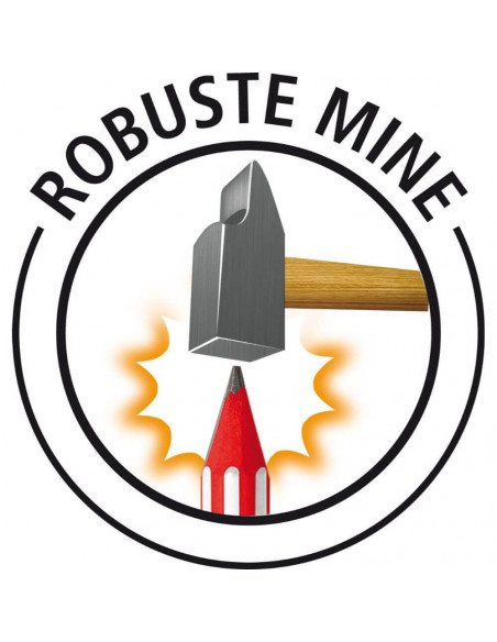 Creion Grafit BIC Eco Evolution Stripes 646,8803323P