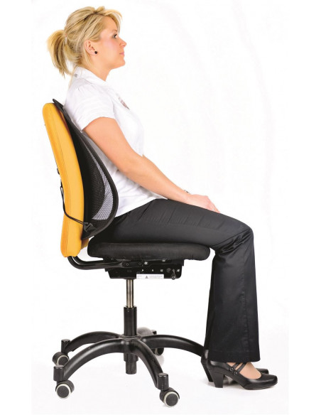 SUPORT ERGONOMIC PENTRU SPATE MESH FELLOWES,FE9191301