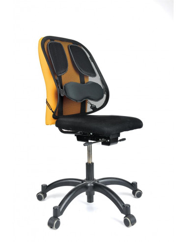 SUPORT ERGONOMIC PENTRU SPATE PROFESSIONAL MESH