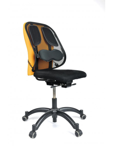 SUPORT ERGONOMIC PENTRU SPATE PROFESSIONAL MESH