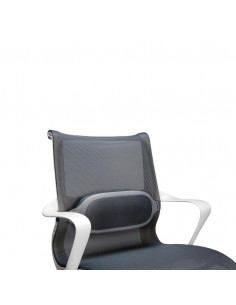 SUPORT ERGONOMIC PENTRU SPATE I-SPIRE FELLOWES,FE8042201 2