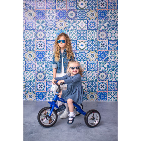 Tricicleta A 28, Blue & Black,10050120009