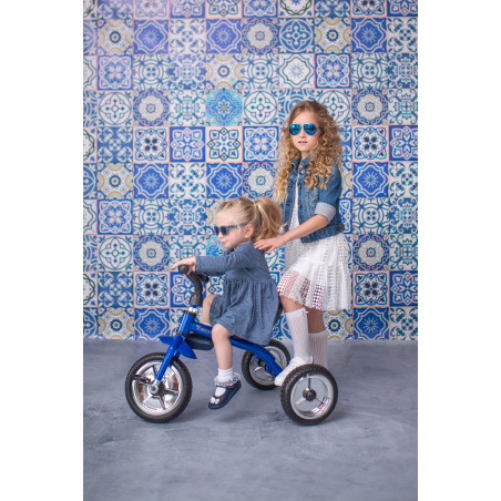 Tricicleta A 28, Blue & Black,10050120009