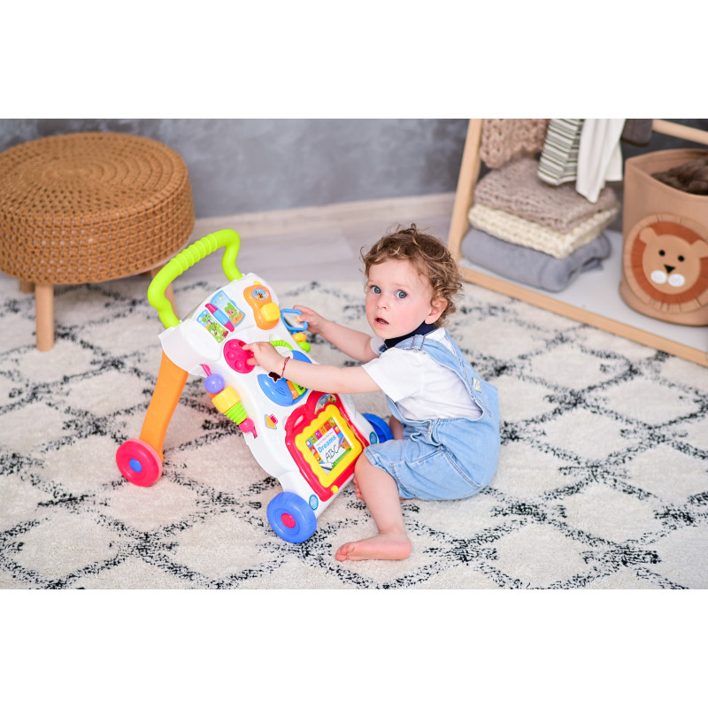 Antepremergator multifunctional, cu centru de activitati