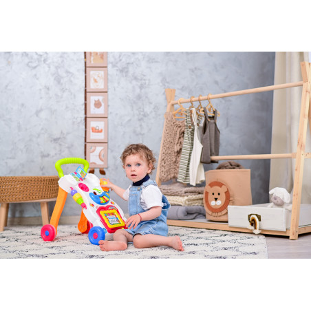 Antepremergator multifunctional, cu centru de activitati