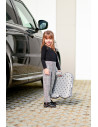 Inaltator auto Sirius Fix, 22-36 Kg, sistem ISOFIX