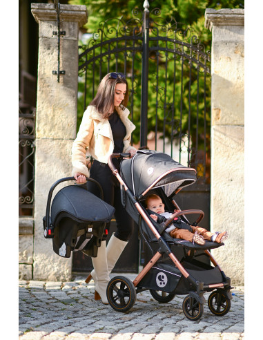 Carucior Set, Storm, pana la 22 kg, cos auto inclus, cadru