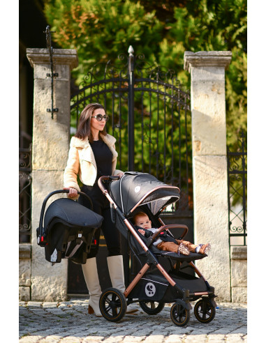Carucior Set, Storm, pana la 22 kg, cos auto inclus, cadru