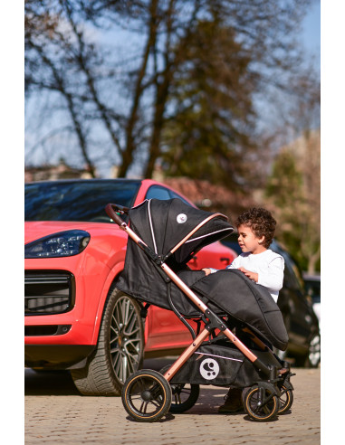 Carucior pentru nou-nascut Storm, pana la 22 kg, cadru