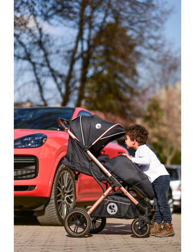 Carucior pentru nou-nascut Storm, pana la 22 kg, cadru
