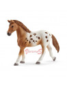 Schleich Set Training Turneu si cal Appaloosa,SL42433