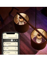 Bec LED inteligent Philips Hue tip lustra, P45, E14, 5.7W