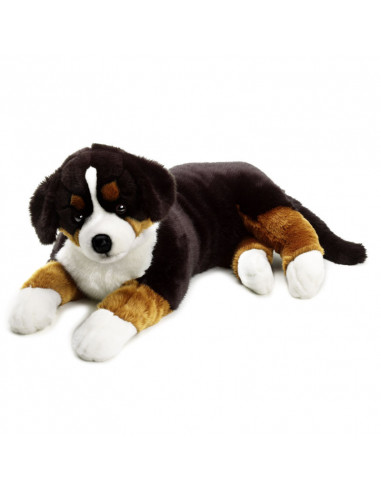 CATEL de Plus Ciobanesc de Berna 95 cm,AV742211