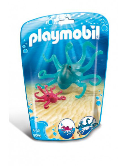 Caracatita Si Pui,9066