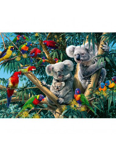 PUZZLE KOALA IN COPAC, 500 PIESE,RVSPA14826