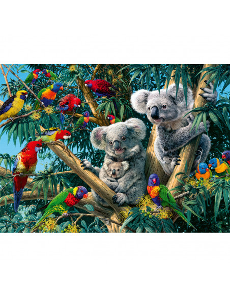 PUZZLE KOALA IN COPAC, 500 PIESE,RVSPA14826