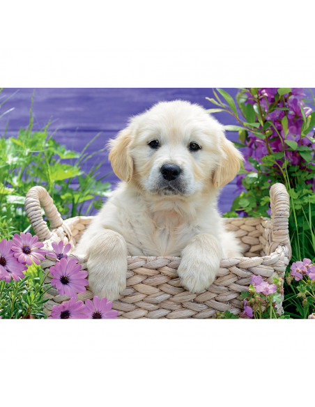 PUZZLE GOLDEN RETRIEVER, 500 PIESE,RVSPA14829