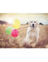 PUZZLE CATEL CU BALOANE, 500 PIESE,RVSPA16585