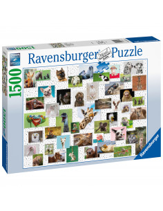 PUZZLE COLAJ CU ANIMALE, 1500 PIESE,RVSPA16711 2