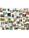 PUZZLE COLAJ CU ANIMALE, 1500 PIESE,RVSPA16711