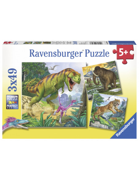 PUZZLE CONDUCATORI PRIMITIVI, 3X49 PIESE,RVSPC09358