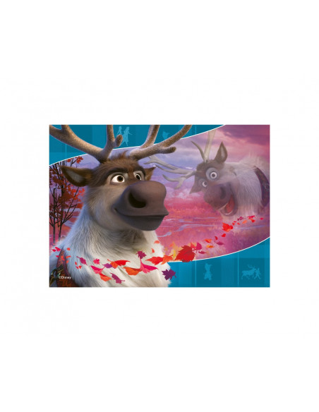 PUZZLE FROZEN II, 12/16/20/24 PIESE,RVSPC03019