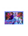 PUZZLE FROZEN II, 2x24 PIESE,RVSPC05010