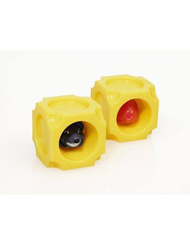 IQ Booster - Say Cheese!,EAN-002503