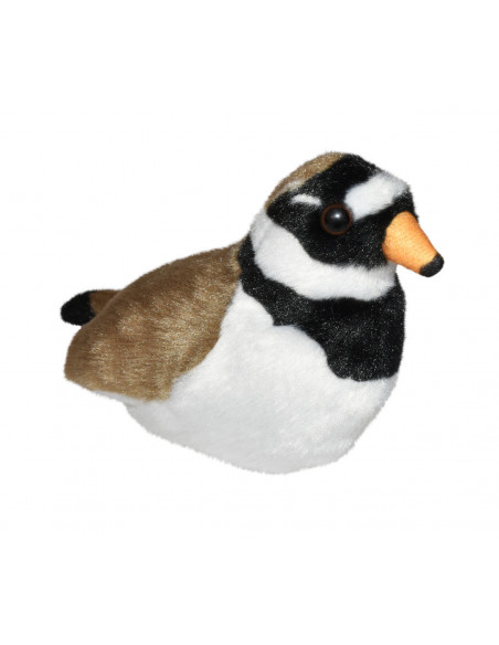 Pasare cu sunet Prundaras Gulerat Mic - RINGED PLOVER,WR23708