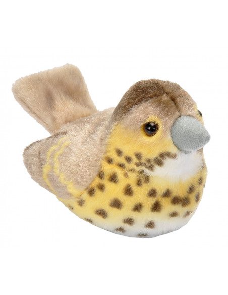 Pasare cu sunet Sturz cantator - SONG THRUSH,WR19497