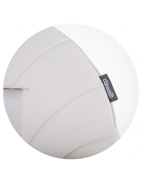Scaun de masa Chipolino Rio 2 in 1 mist,STHRI02101MT