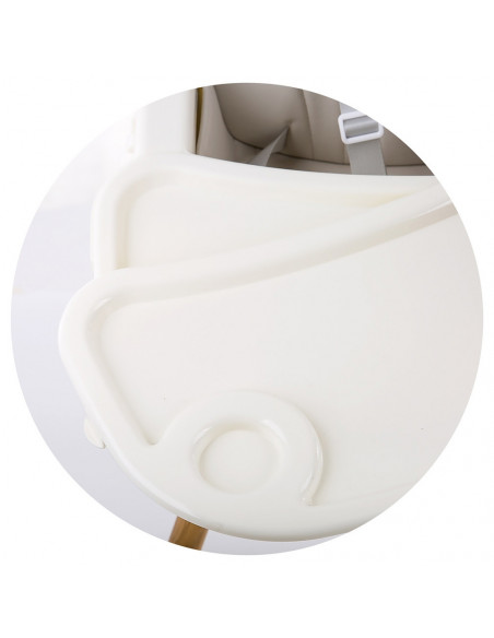 Scaun de masa Chipolino Rio 2 in 1 mist,STHRI02101MT
