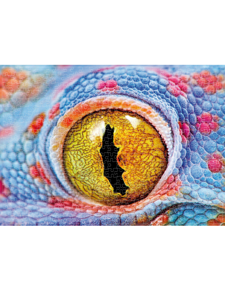 Ochi De Gecko, Puzzle Noriel, 500 Piese,Uniq2914