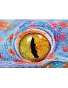 Ochi De Gecko, Puzzle Noriel, 500 Piese,Uniq2914
