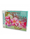 Frangipani, Puzzle Noriel, 500 Piese,Uniq2921