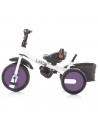 Tricicleta cu sezut reversibil Chipolino Largo