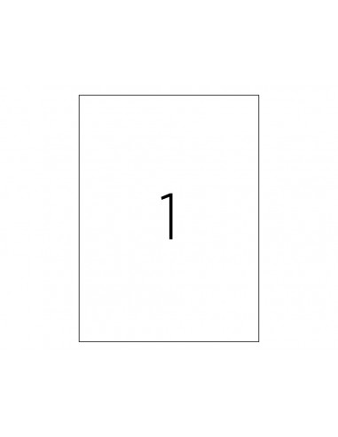 ETICHETE 1/A4 210*297MM COLTURI DREPTE 100/TOP TANEX,TW2000